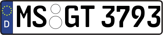 MS-GT3793