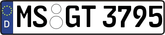 MS-GT3795