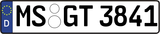 MS-GT3841