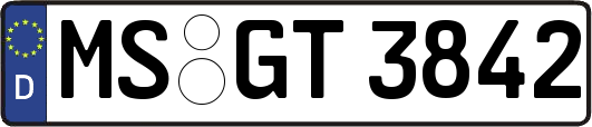 MS-GT3842