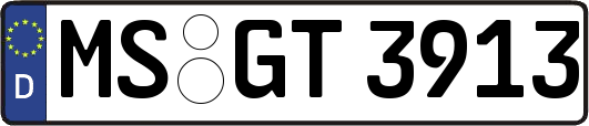 MS-GT3913