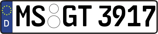 MS-GT3917