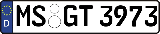 MS-GT3973