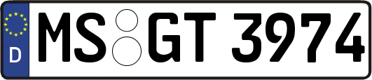 MS-GT3974