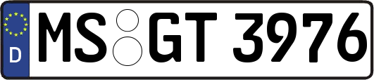 MS-GT3976