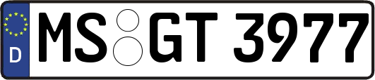 MS-GT3977