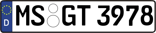 MS-GT3978
