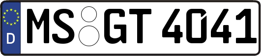 MS-GT4041