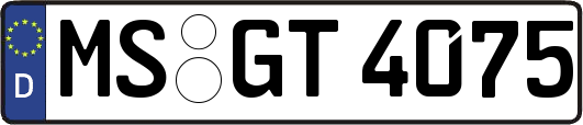MS-GT4075
