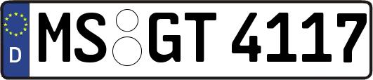 MS-GT4117