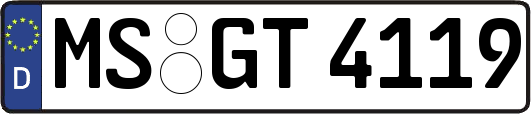 MS-GT4119