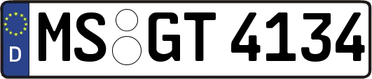 MS-GT4134