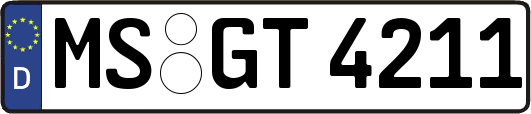 MS-GT4211