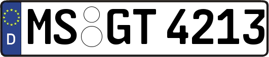 MS-GT4213