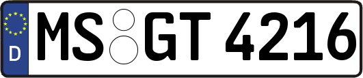MS-GT4216