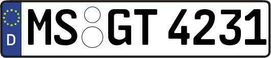 MS-GT4231