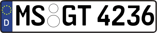 MS-GT4236