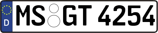MS-GT4254