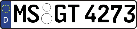MS-GT4273