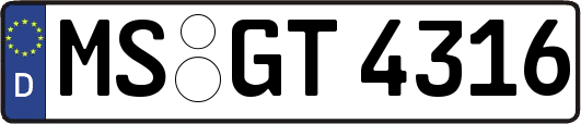 MS-GT4316