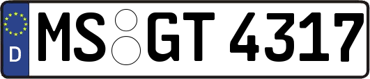 MS-GT4317