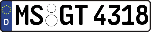 MS-GT4318