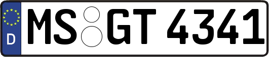 MS-GT4341