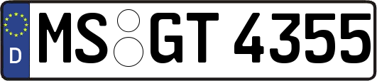 MS-GT4355