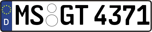MS-GT4371