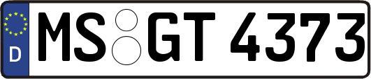 MS-GT4373