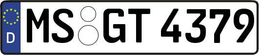 MS-GT4379
