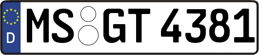 MS-GT4381