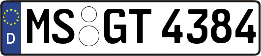 MS-GT4384