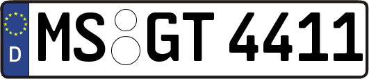 MS-GT4411