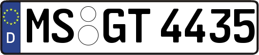 MS-GT4435