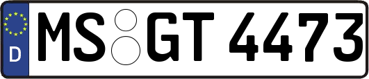 MS-GT4473