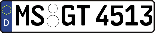 MS-GT4513
