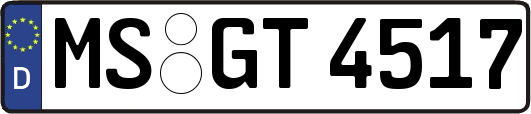 MS-GT4517
