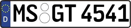 MS-GT4541