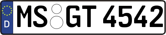 MS-GT4542