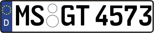 MS-GT4573