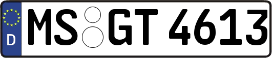 MS-GT4613