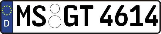 MS-GT4614