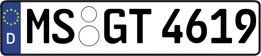 MS-GT4619