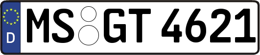 MS-GT4621