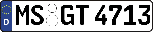 MS-GT4713