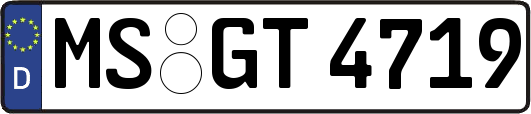 MS-GT4719
