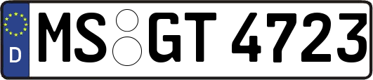 MS-GT4723