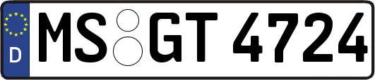 MS-GT4724