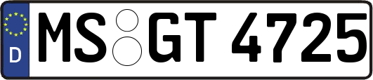 MS-GT4725